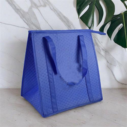 Hot sale customized summer thermal insulation soft cooler bag for beer - 副本